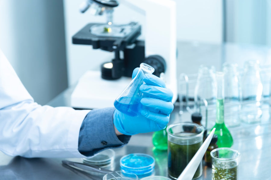 Understanding the difference between Nitrile Gloves and Vinyl Gloves