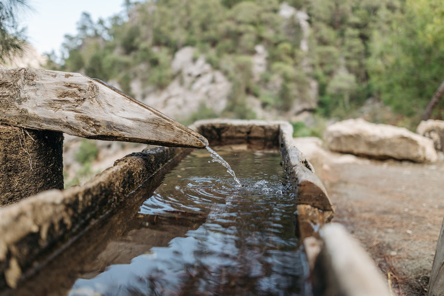 How is Electrolyzed water the Miracle Drink of the 21st Century?